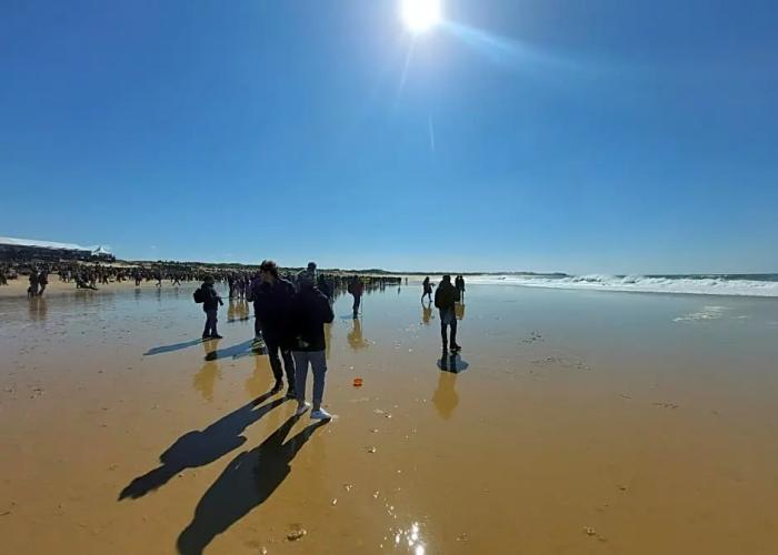 Peniche Hostel