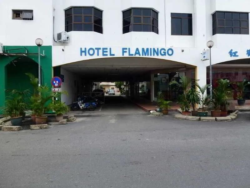 фото Flamingo