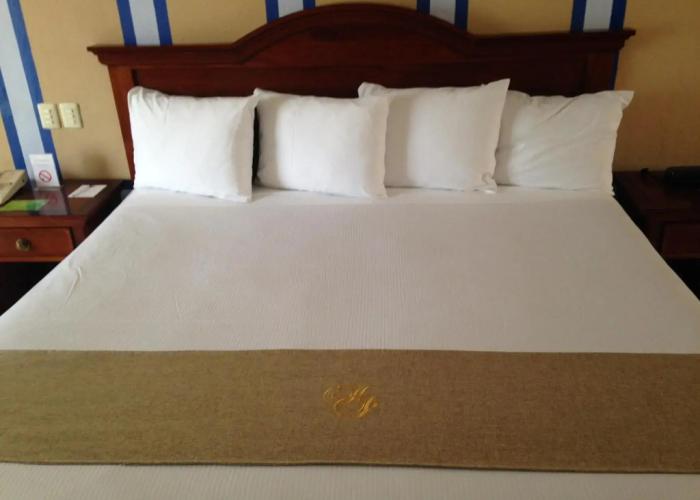 Hotel Plaza Colonial