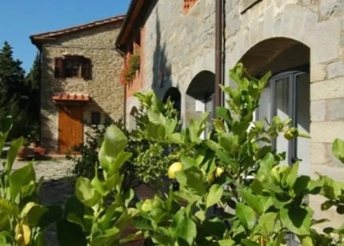 3 Rooms Flat in a Green Tuscany Valley