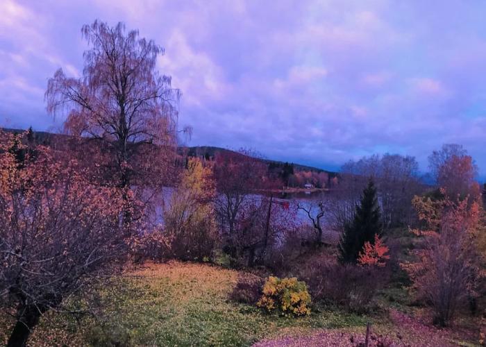 Charming 1-bed Studio in Avesta