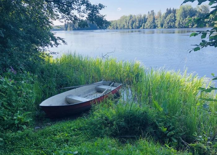 Tiny hut in the Forest Overlooking the River