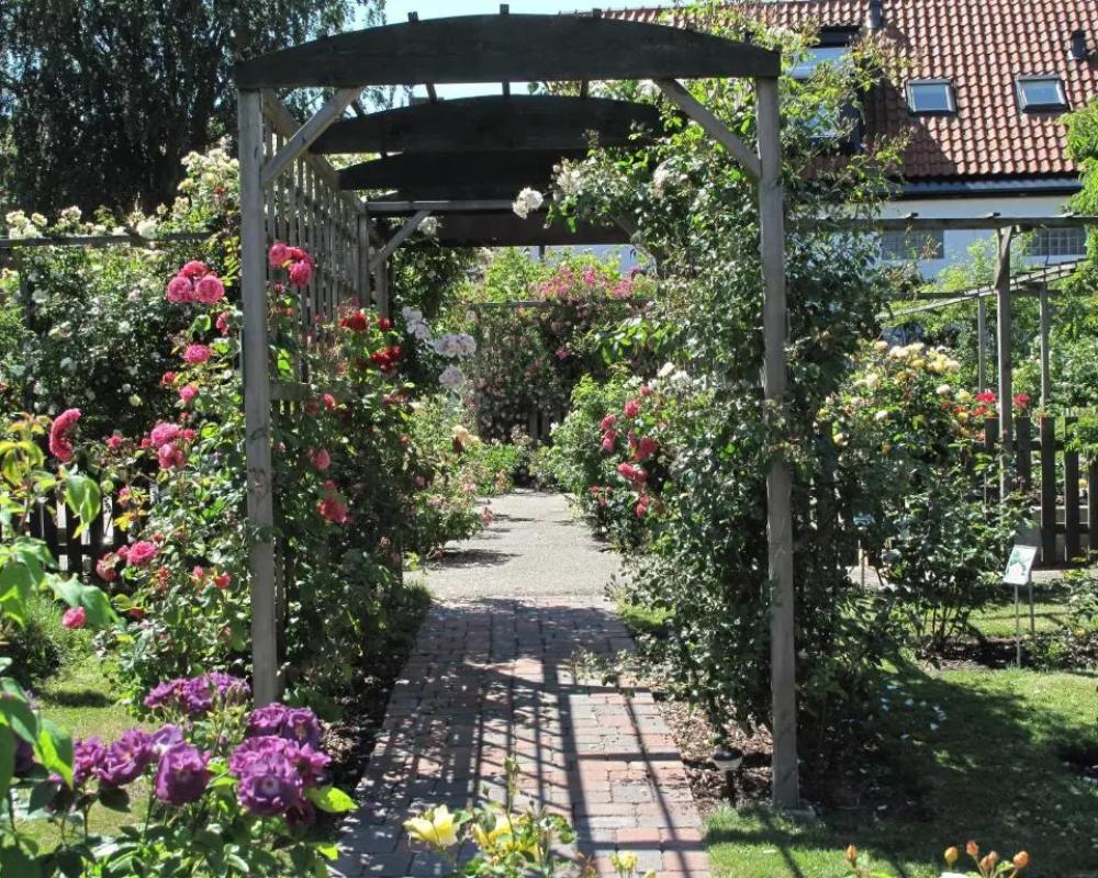 фото Hotell Turistgården