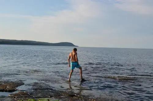 Carlssons på Vik
