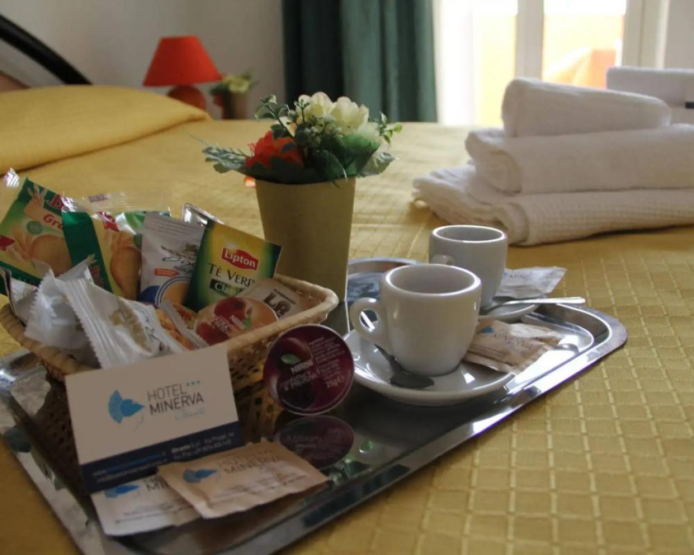 фото Hotel Minerva
