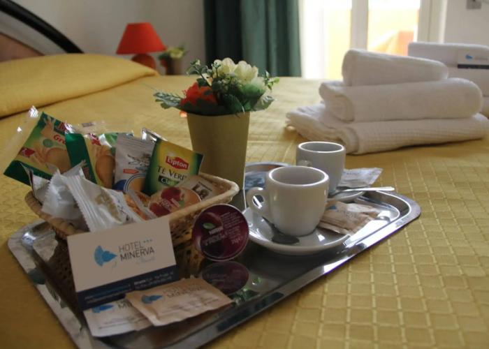 Hotel Minerva