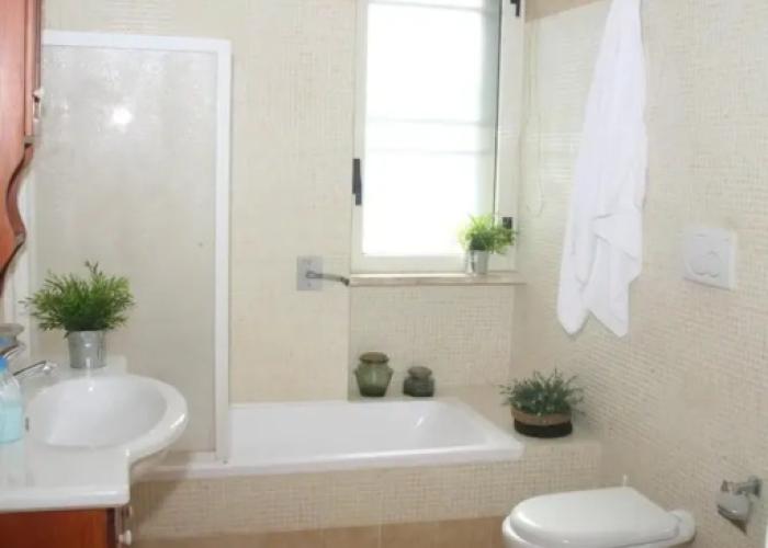 B&B Gelsimori