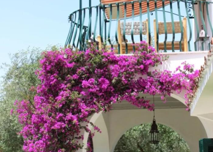 Tenuta Belvedere Guest House