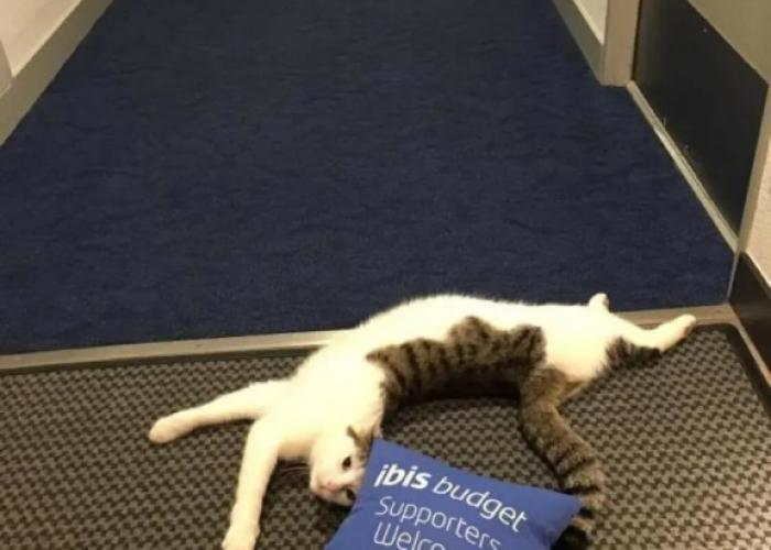 ibis budget Fécamp