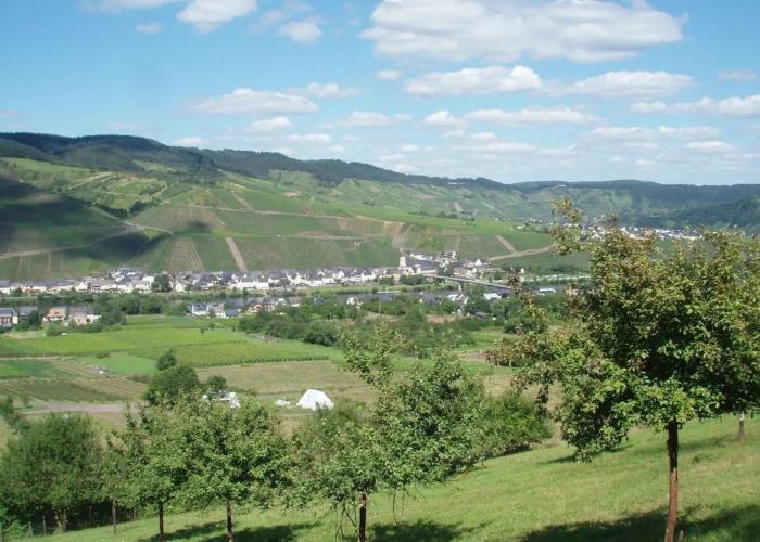 Apartment in the Moselle Region
