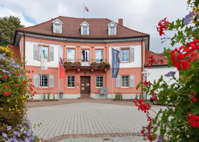 Apartment in Bad Drrheim With Forest
