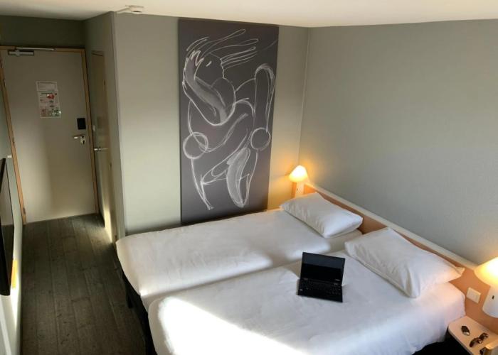 ibis Auray