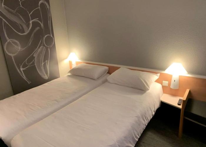 ibis Auray