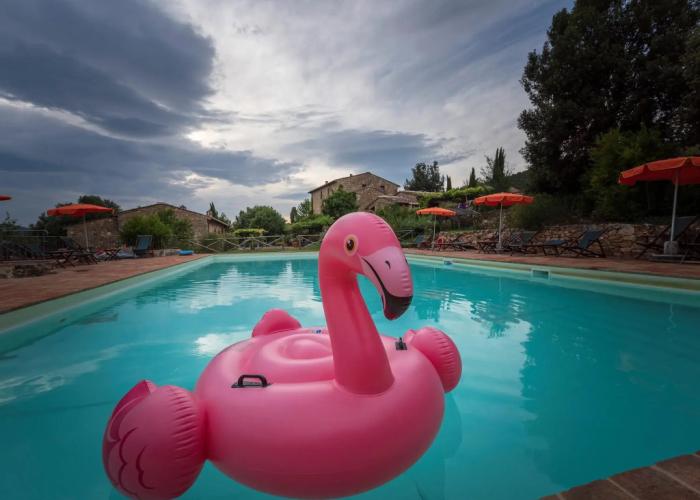 Apartment in Chianti With Pool ID 3939