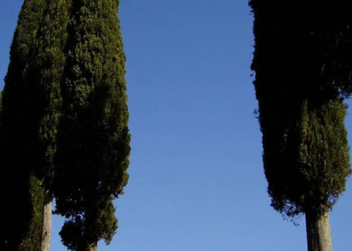 Podere Pievina Delle Corti