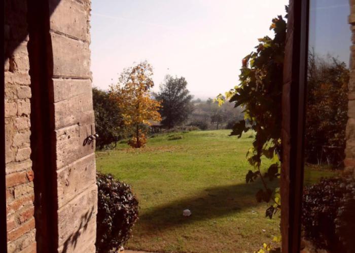 Podere Pievina Delle Corti
