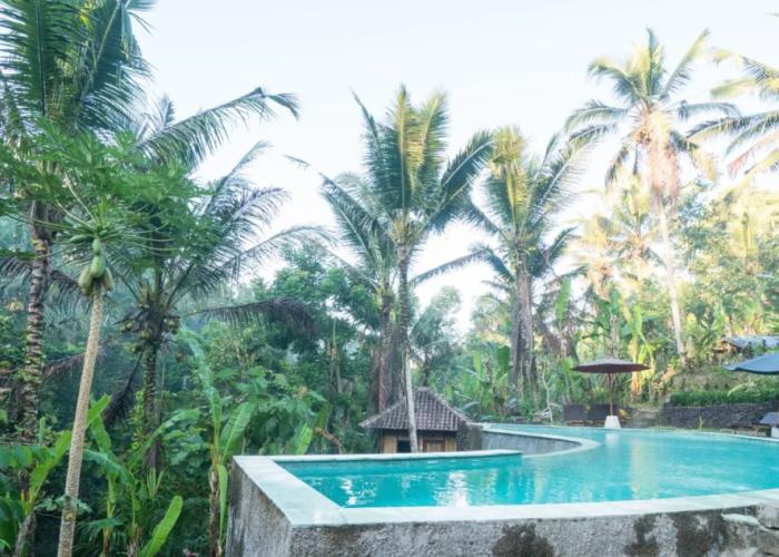 Song Broek Jungle Resort