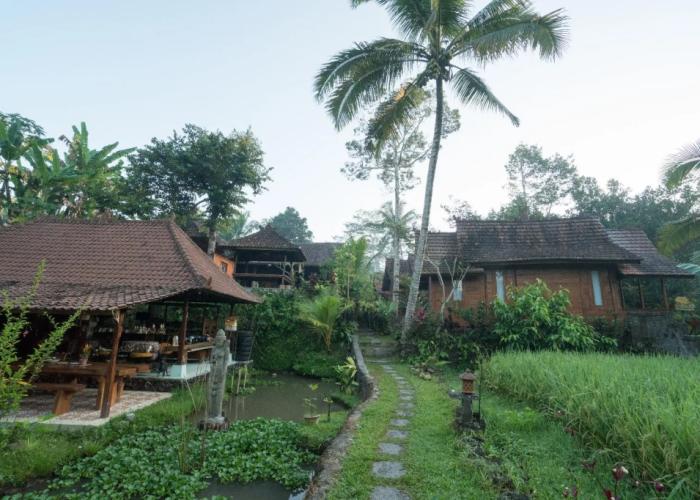 Song Broek Jungle Resort