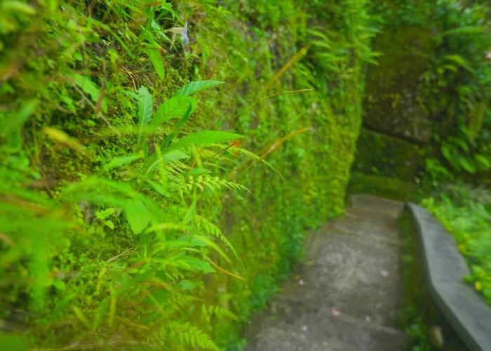 Villa Annapurna Bali