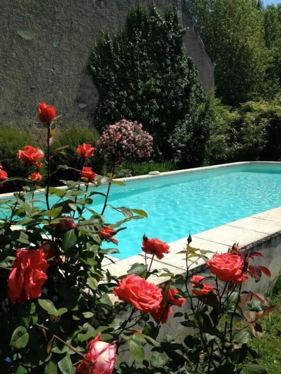 L'Arcane du Bellay - Chambres D'Hôtes de Charme