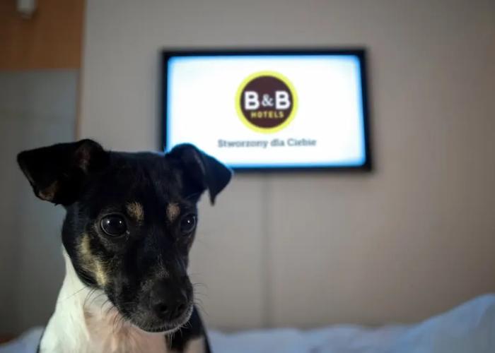 B&B HOTEL Kielce Centrum