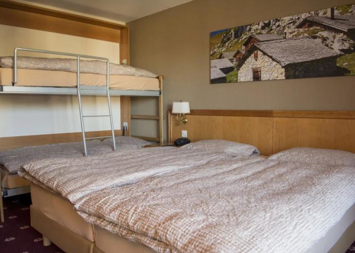 Alpine Classic Hotel