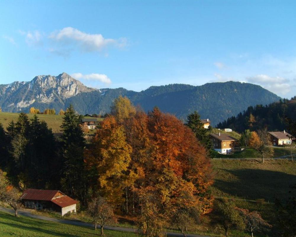 Castel Club Leysin Parc Resort