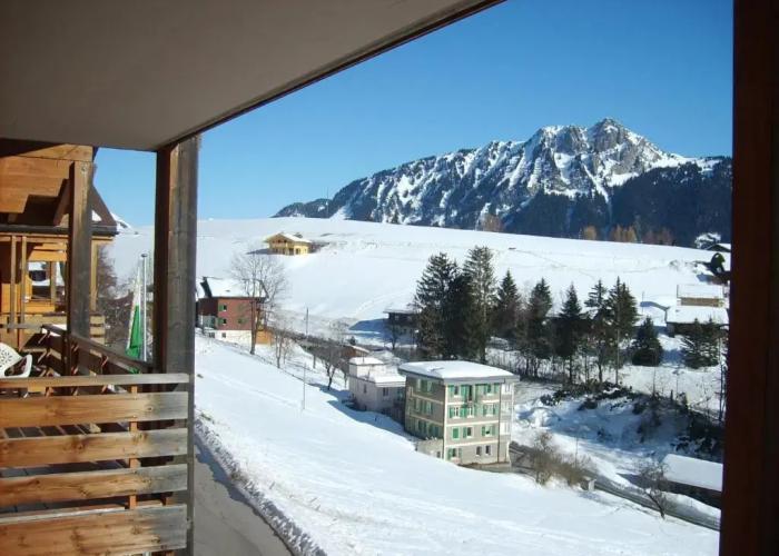 Castel Club Leysin Parc Resort