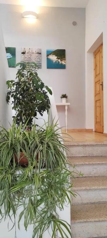 фото Apulia Bed & Breakfast
