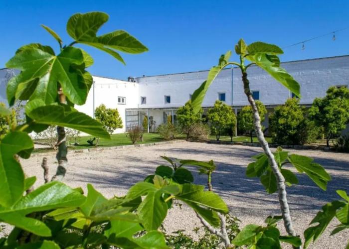 Masseria Rauccio