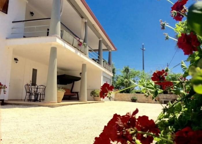 B&B All'Ombra degli Ulivi