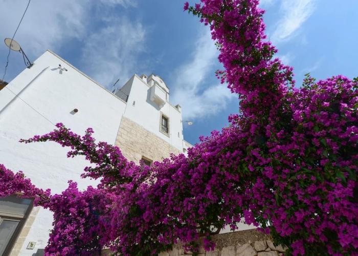 Masseria Lamiola Piccola
