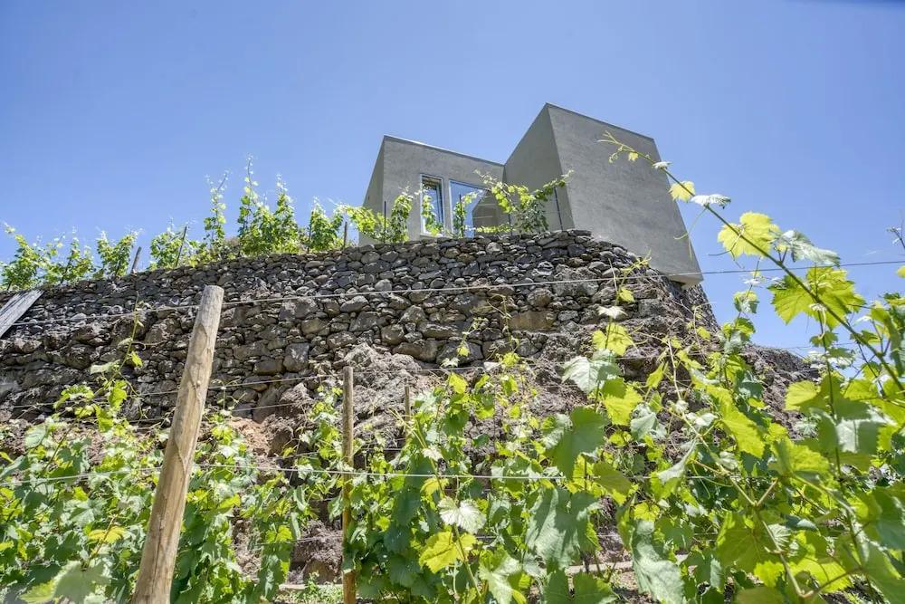 Socalco Nature Calheta