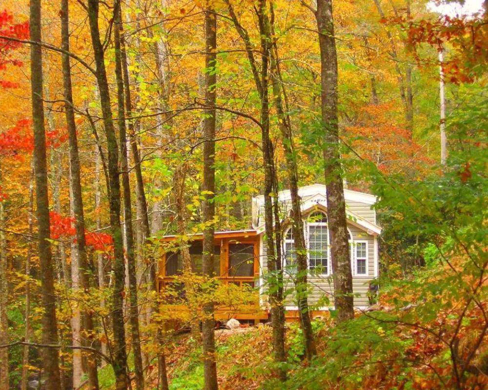 The Owl's Perch (5 inch clearance needed)