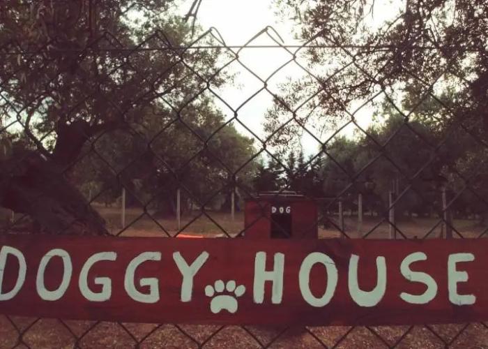 La Piana degli Ulivi