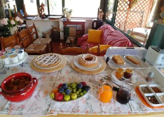 La Piana degli Ulivi