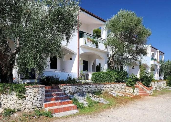 Baia degli Aranci Village