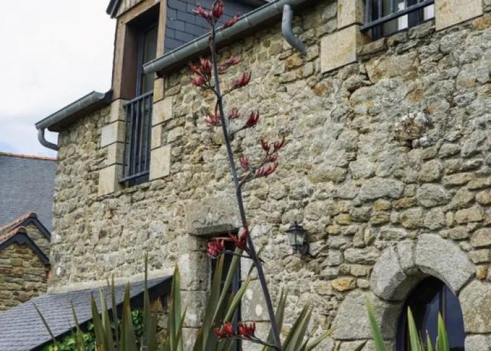 Manoir Des Douets Fleuris