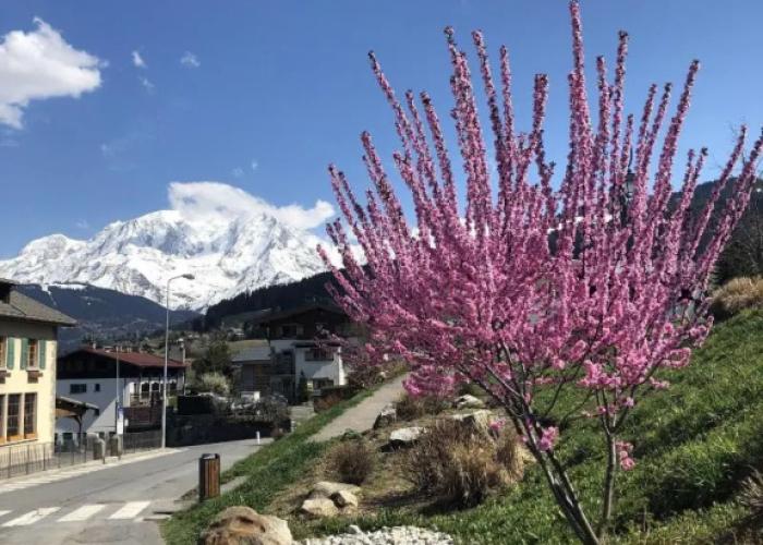 Le Floralp