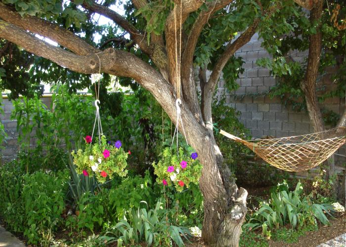 Rejd Guest House