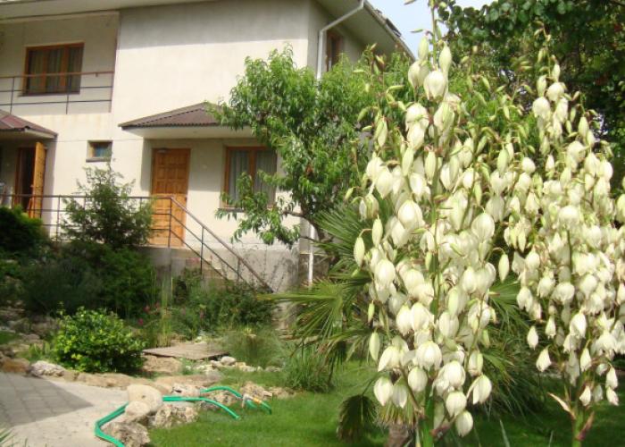 Solnechnaya Riv'era Guest House