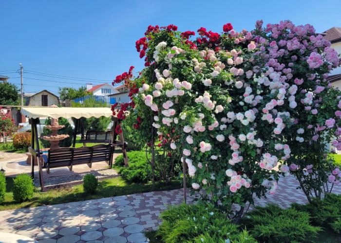 Sevastopolskaya Usad'ba Guest House