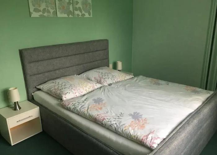 Apartment in Harz With Terrace