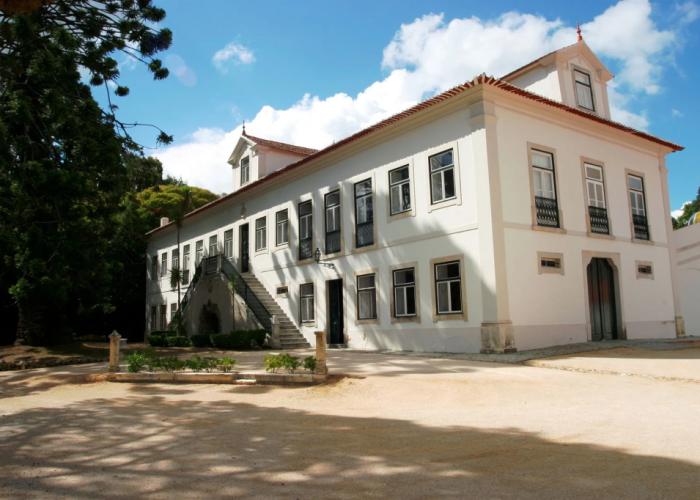 Casa de Mogofores