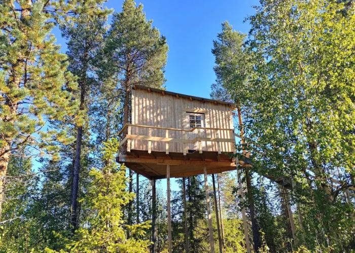 Aurora Lodge
