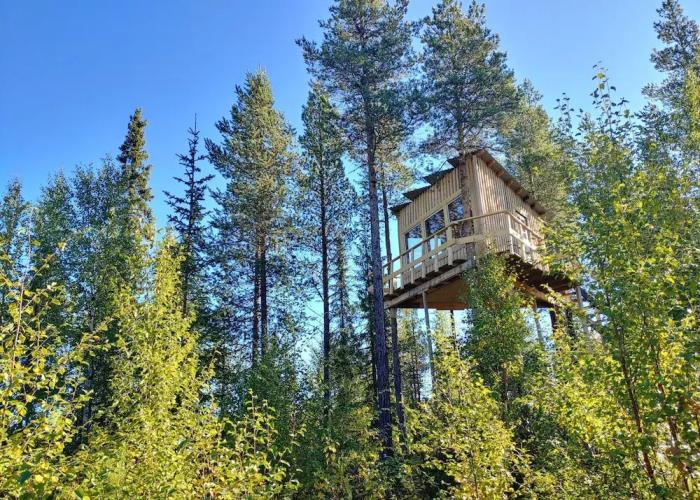 Aurora Lodge