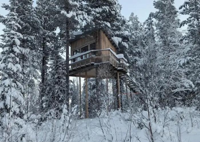 Aurora Lodge