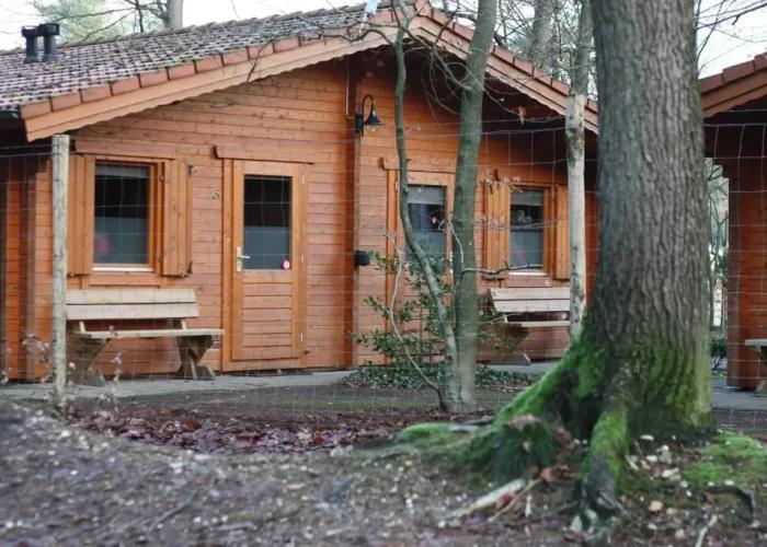Lodges Veluwse Poort