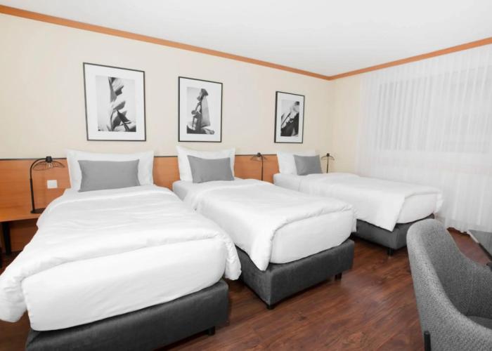 HOTEL ENGEL LIESTAL - Business & Lifestyle