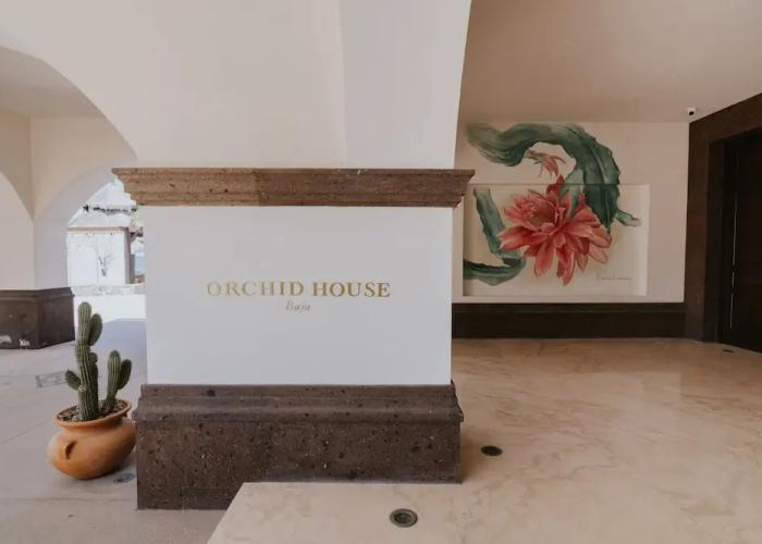Orchid House Baja & Beach Club